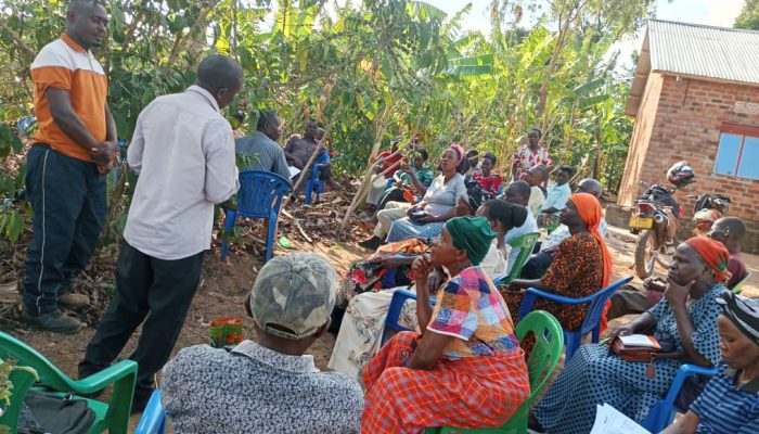 A farmer field school (FFS) training session in Kyengeza cooperative in Kyotera district.