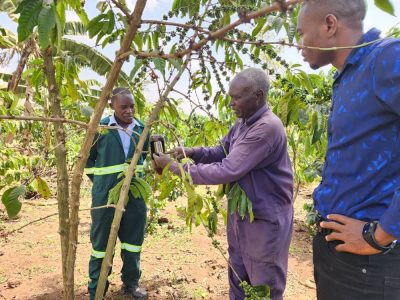 Aaron Kiyaga a farmer in Kyalugondo Cooperative showing UCFA agroforesters how he captures Twig Borers using alcohol traps.